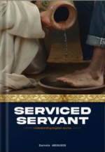 SERVICED SERVANT- ABEGUNDE DAMOLA SAMSON